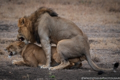 November_2018_Gallery_web-4727