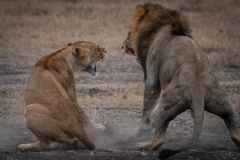 November_2018_Gallery_web-4731