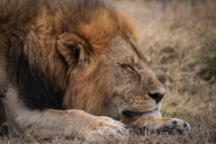 November_2018_Gallery_web-4734