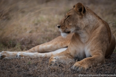 November_2018_Gallery_web-4736