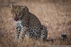 November_2018_Gallery_web-4778