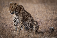 November_2018_Gallery_web-4779