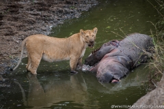 November_2018_Gallery_web-4798