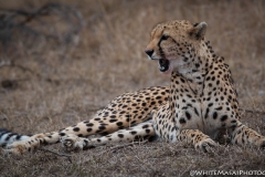 November_2018_Gallery_web-4821