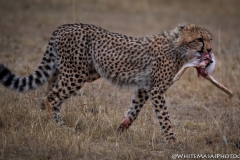 November_2018_Gallery_web-4833