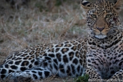 November_2018_Gallery_web-4854