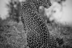 November_2018_Gallery_web-4855