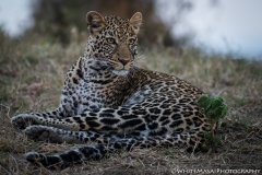 November_2018_Gallery_web-4877