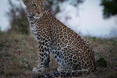 November_2018_Gallery_web-4900