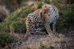 November_2018_Gallery_web-5208