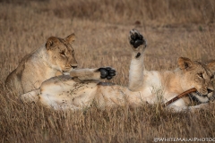 November_2018_Gallery_web-5311