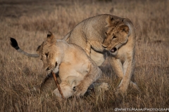 November_2018_Gallery_web-5317