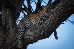 November_2018_Gallery_web-5342