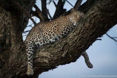 November_2018_Gallery_web-5357