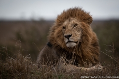 November_2018_Gallery_web-5412