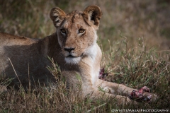 November_2018_Gallery_web-5495