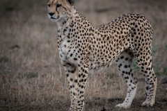 November_2018_Gallery_web-5545