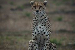 November_2018_Gallery_web-5559