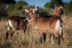 November_2018_Gallery_web-5567