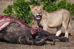 November_2018_Gallery_web-5687