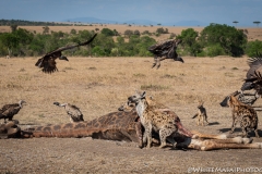 November_2018_Gallery_web-7656