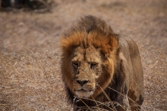 November_2018_Gallery_web-7705