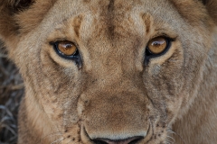 November_2018_Gallery_web-7782