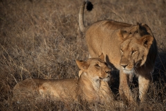 November_2018_Gallery_web-7812