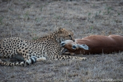 November_2018_Gallery_web-7871