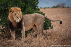 November_2018_Gallery_web-7906