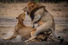 November_2018_Gallery_web-7955