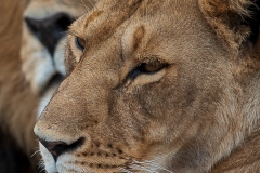 November_2018_Gallery_web-7980