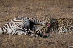 November_2018_Gallery_web-8028