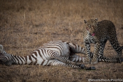 November_2018_Gallery_web-8041