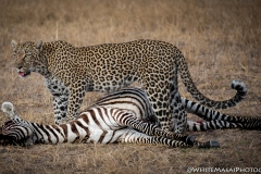 November_2018_Gallery_web-8048