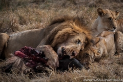 November_2018_Gallery_web-8160