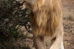 November_2018_Gallery_web-8321