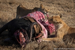 November_2018_Gallery_web-8410