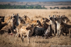 November_2018_Gallery_web-8475