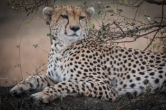 November_2018_Gallery_web-8502