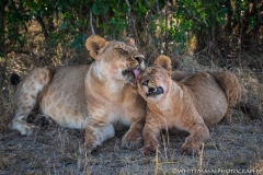 November_2018_Gallery_web-8597