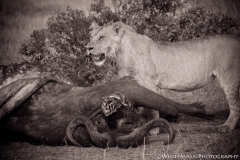 November_2018_Gallery_web-8610