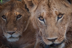 November_2018_Gallery_web-8686