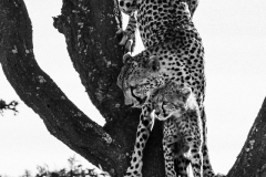 Kenya-January-2020-4128