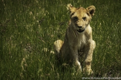 Kenya-January-2020-4211