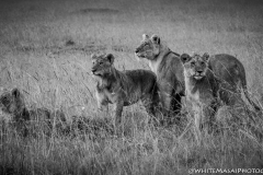 Kenya-January-2020-4275