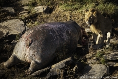 Kenya-January-2020-4305