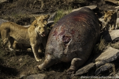 Kenya-January-2020-4357