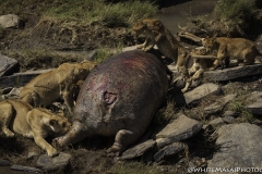 Kenya-January-2020-4372