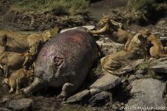 Kenya-January-2020-4419